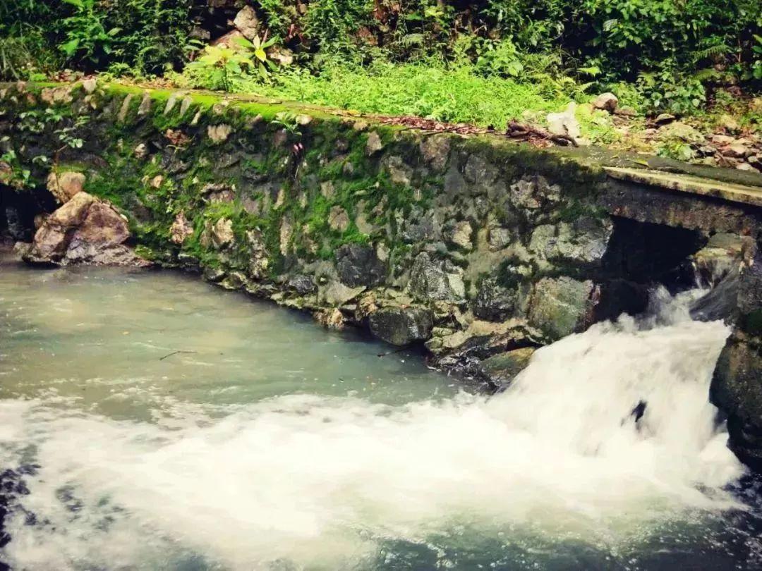 雷竞技比分