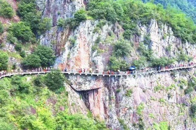 虫虫助手下载