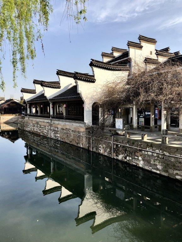 动物帮帮忙保卫家园